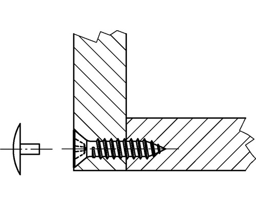 Afdekdopjes voor schroeven ø 15 mm  WIT